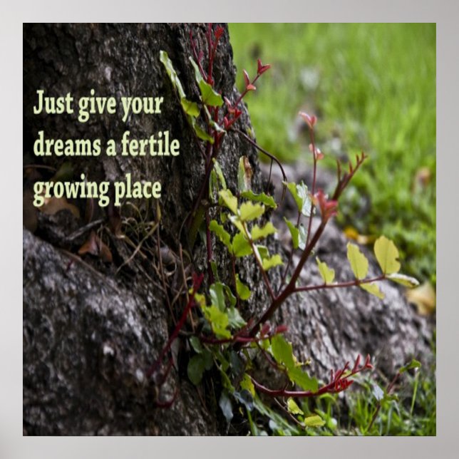 Beautiful Quotes Poster (Front)