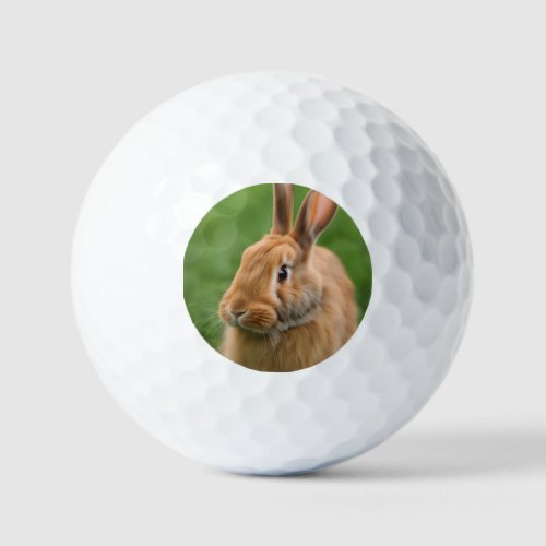 Beautiful Rabbit Golf Balls