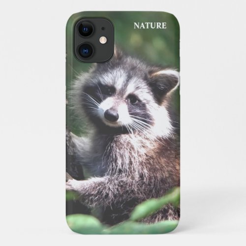 Beautiful raccoon on the jungle iPhone 11 case