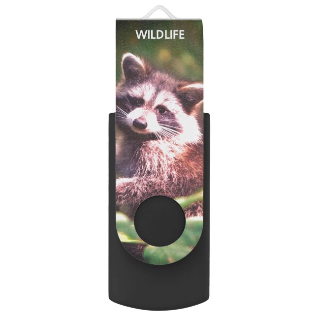 Beautiful raccoon on the jungle flash drive (Front Vertical)