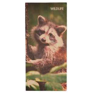 Beautiful raccoon on the jungle wood flash drive