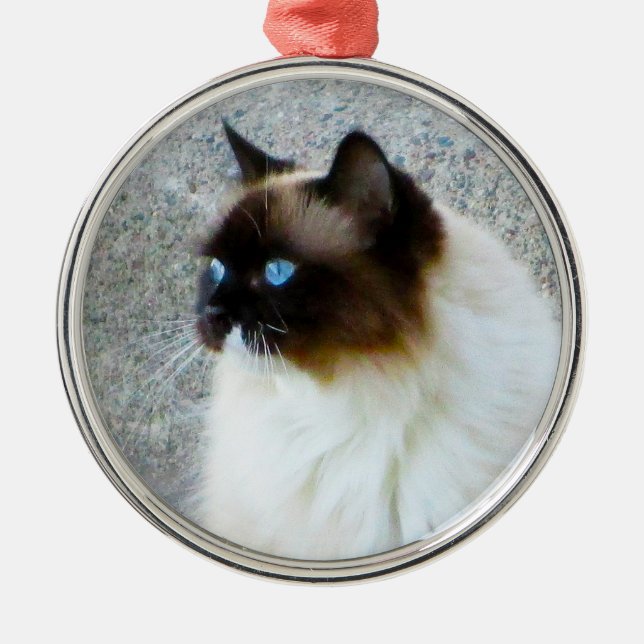 Beautiful Ragdoll Birman Himalayan Cat Metal Ornament (Front)