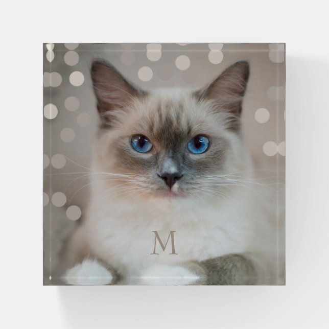 Beautiful Ragdoll Cat and Monogram Paperweight (Front)