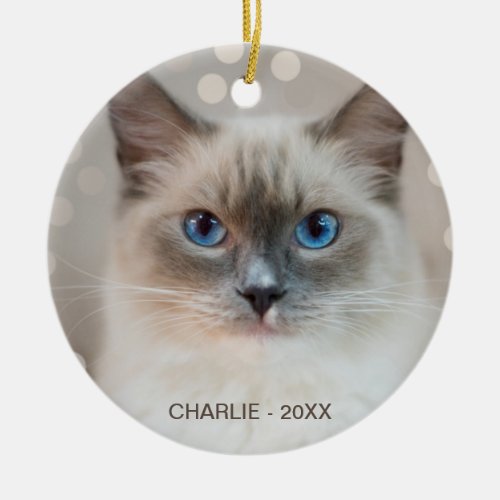 Beautiful Ragdoll Cat  Editable Name Ceramic Ornament