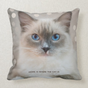 Beautiful Ragdoll Cat & Editable Text Throw Pillow
