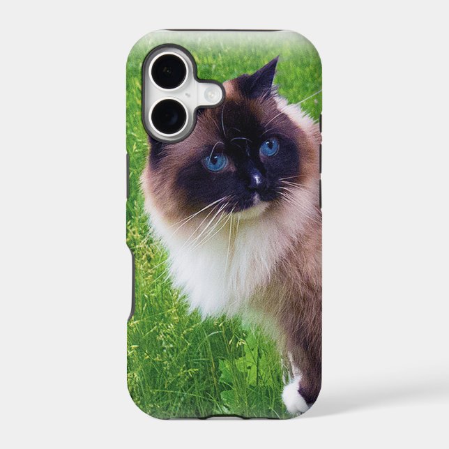 Beautiful Ragdoll Cat Iphone Case (Back)