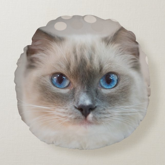 Beautiful Ragdoll Cat on Beige Round Pillow (Front)