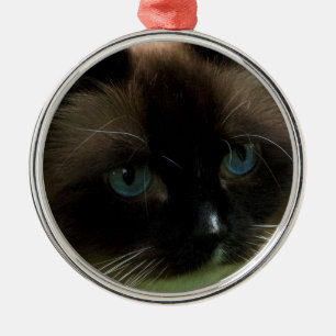 Beautiful Ragdoll Cat Ornament