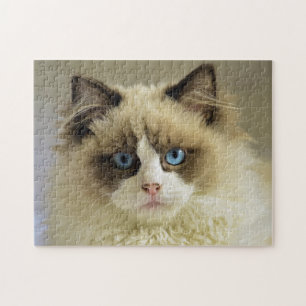 Beautiful Ragdoll Cat with Blue Eyes Jigsaw Puzzle
