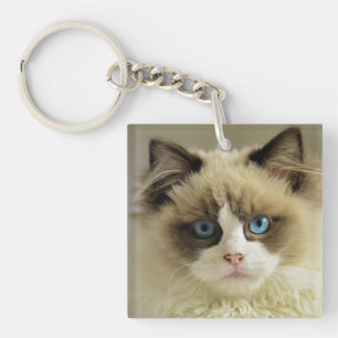 Beautiful Ragdoll Cat with Blue Eyes Keychain
