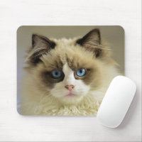 Ragdoll Cat Marble Coasters