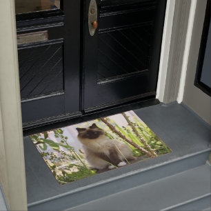 Beautiful Ragdoll Doormat