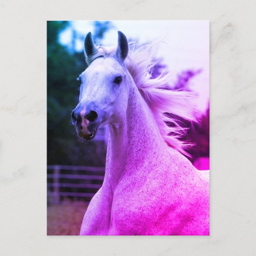 Beautiful Rainbow Colored Arabian Horse Mare Card