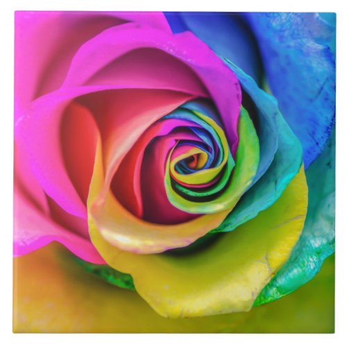 Beautiful Rainbow Rose Ceramic Tile