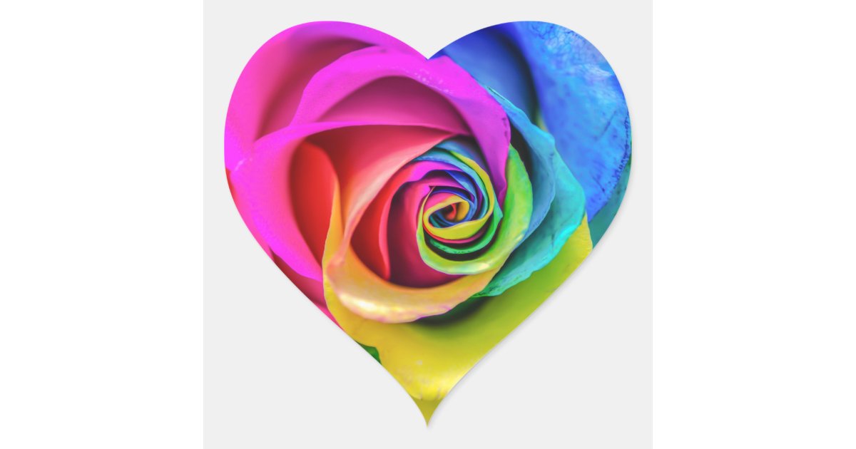 Beautiful Rainbow Rose Flower Heart Sticker Zazzlecom