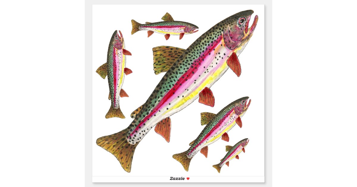 Beautiful Rainbow Trout = 5 Images on the Same Sticker