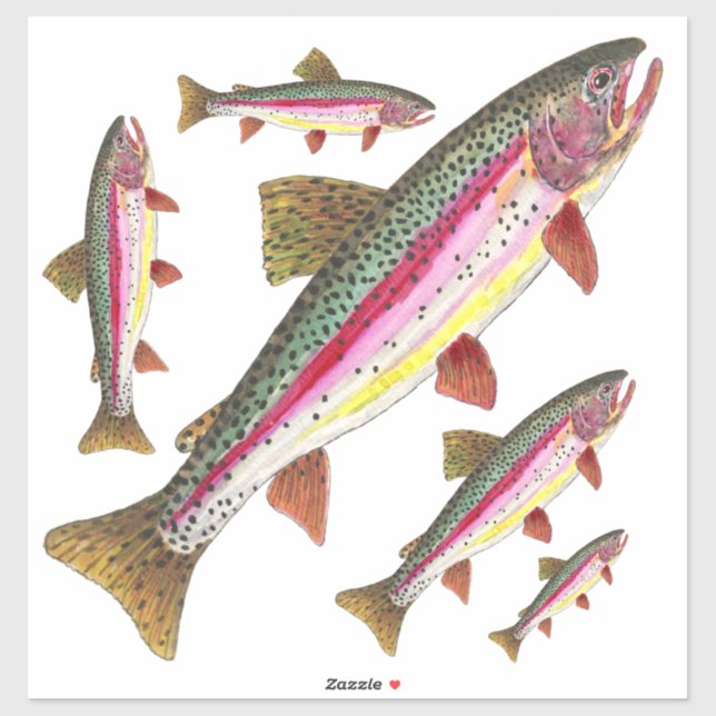 Beautiful Rainbow Trout = 5 Images on the Same Sticker (Sheet)