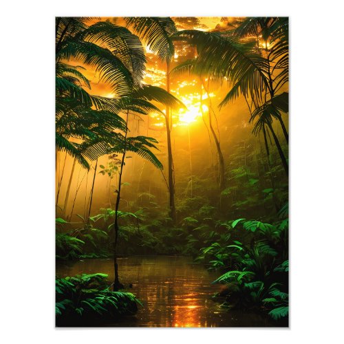 Beautiful rainforest with sunset photo print