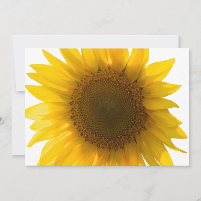 Beautiful Real Sunflower Photo Minimalist Pattern (Front)