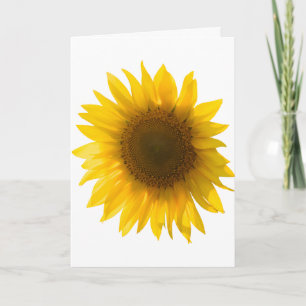 Beautiful Real Sunflower Photo Minimalist Pattern Card