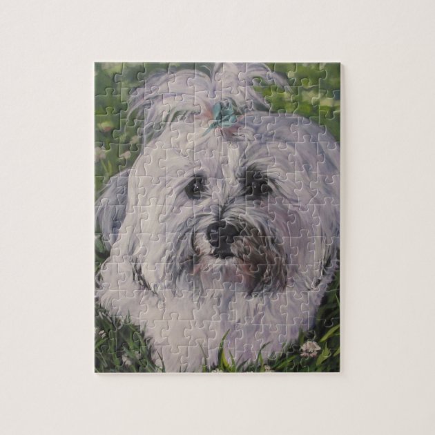 havanese dog puzzle