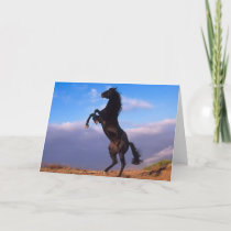 Beautiful rearing black horse photo birthday card
