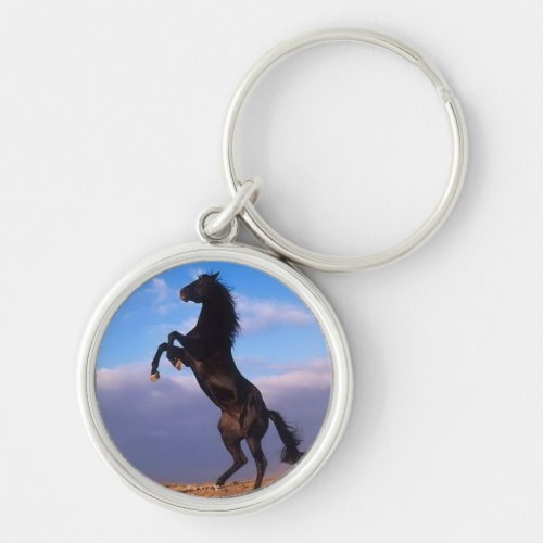 Beautiful rearing black horse with blue sky photo keychain