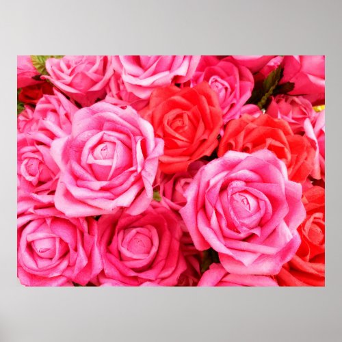 Beautiful red and pink roses poster