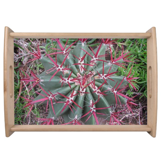 Beautiful Red Barrel Cactus Close-up Desert Photo Serving Tray (Front)