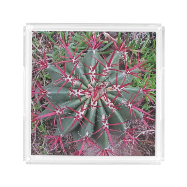 Beautiful Red Barrel Cactus Desert Plant Photo Acrylic Tray (Front)