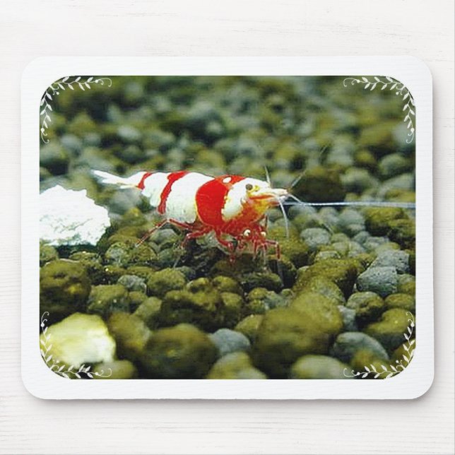Beautiful Red Bee Shrimp Gift shop Mouse Pad (Front)