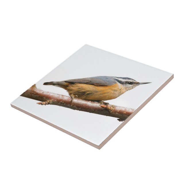Beautiful Red-Breasted Nuthatch on a Branch Ceramic Tile (Side)