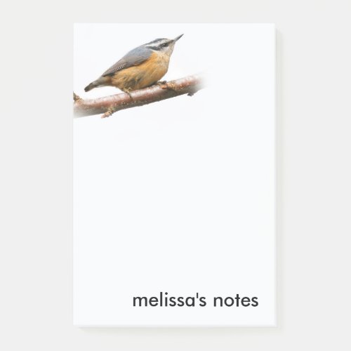 Beautiful Red_Breasted Nuthatch on a Branch Post_it Notes