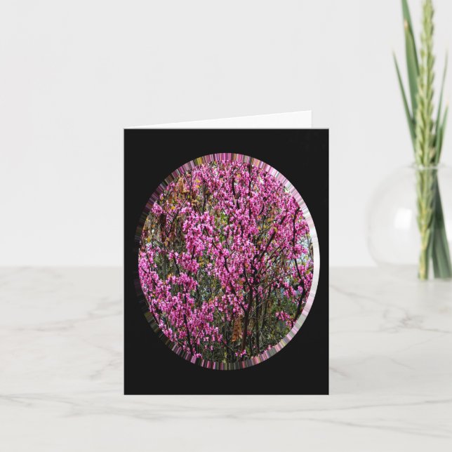 Beautiful Red Bud tree..... Card (Front)
