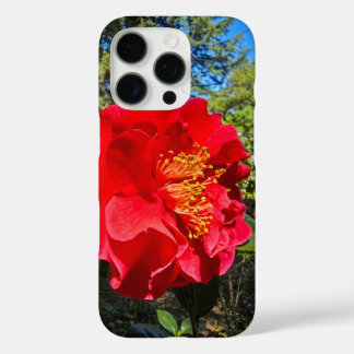 beautiful red Camellia flowers at Descanso Gardens iPhone 16 Pro Case