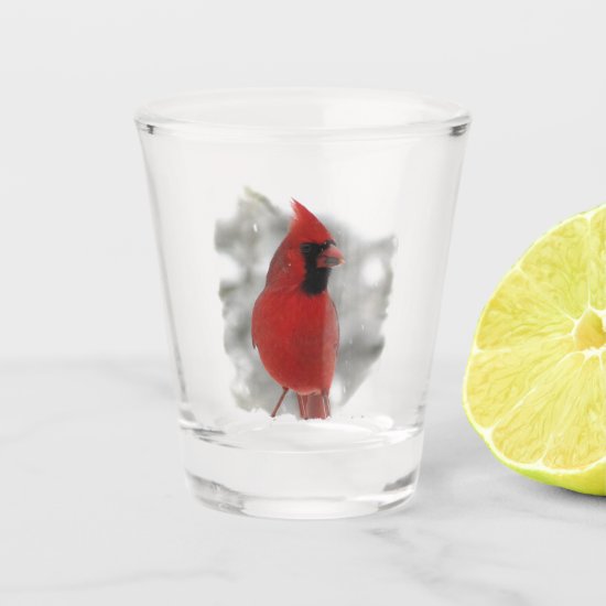 Beautiful Red Cardinal Bird in Snow Shot Glass