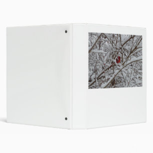 Beautiful Red Cardinal in Snow Filled Tree Binder