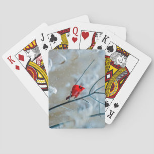 Beautiful Red Cardinal in the Snow Poker Cards