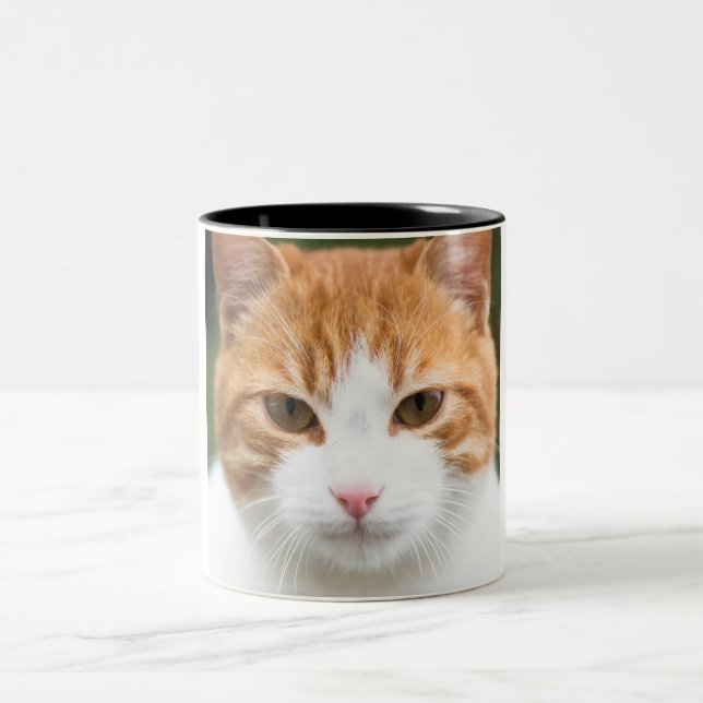 Beautiful red cat Two-Tone coffee mug (Center)