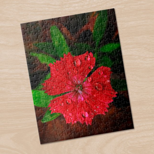Beautiful Red Dianthus Flower With Raindrops Photo Jigsaw Puzzle (Beautiful Red Dianthus Flower With Raindrops Photo Jigsaw Puzzle in situ)