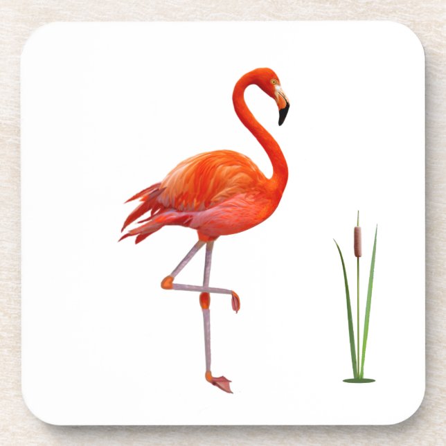 Beautiful Red Flamingo Bird & Reed Plant on White Beverage Coaster (Front)