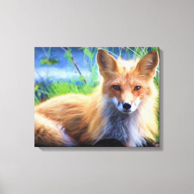 Beautiful Red Fox Canvas Print (Front)