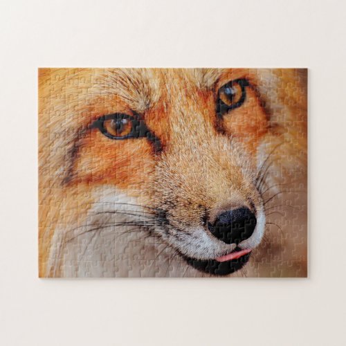 Beautiful Red Fox Close Up Jigsaw Puzzle