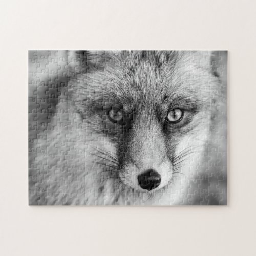 Beautiful Red Fox in black  white Jigsaw Puzzle