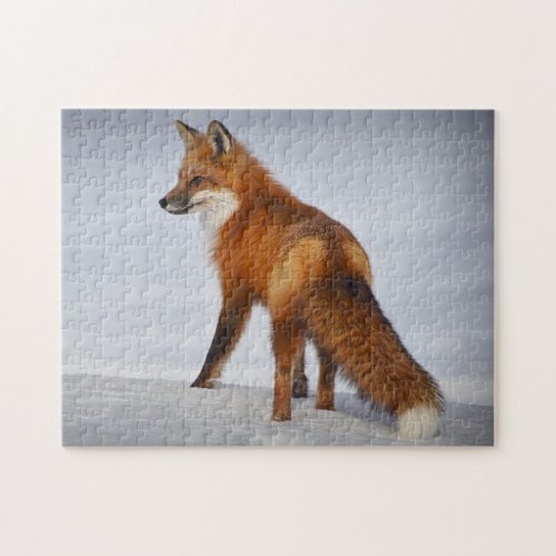 Beautiful Red Fox in Snow Jigsaw Puzzle