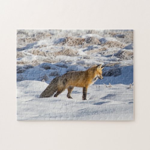 Beautiful Red Fox in Winter Jigsaw Puzzle