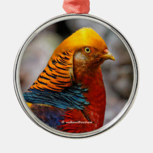 Beautiful Red Golden Pheasant Gamebird Metal Ornament