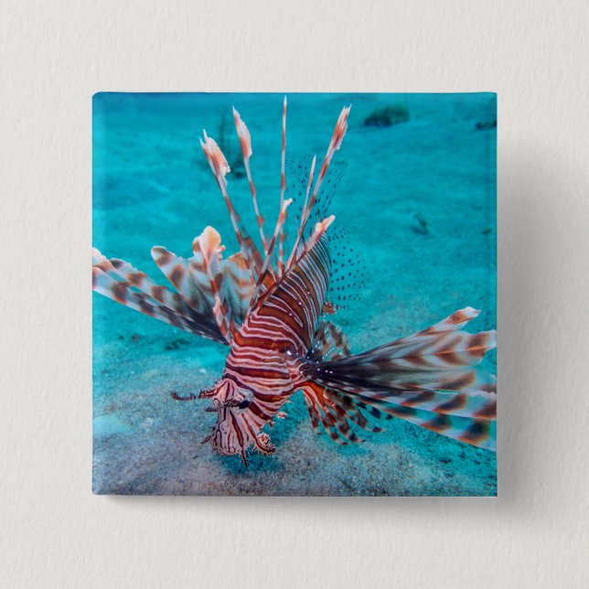Beautiful Red Lion Fish Pinback Button (Front)