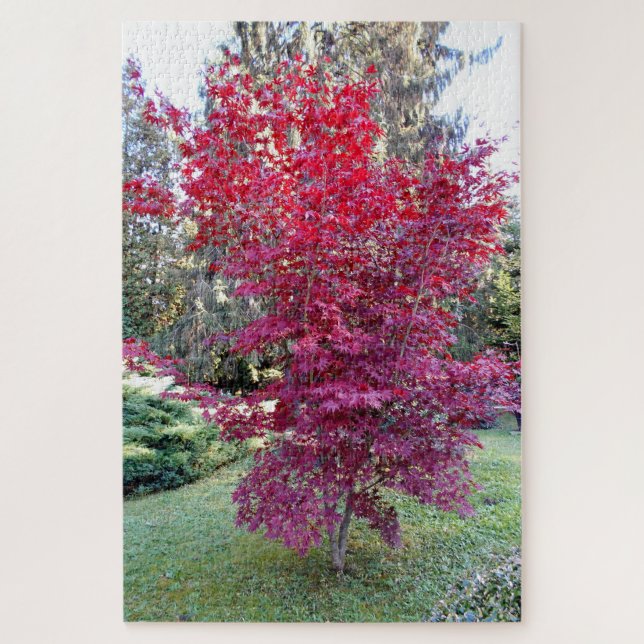 Beautiful Red Maple Tree Jigsaw Puzzle (Vertical)