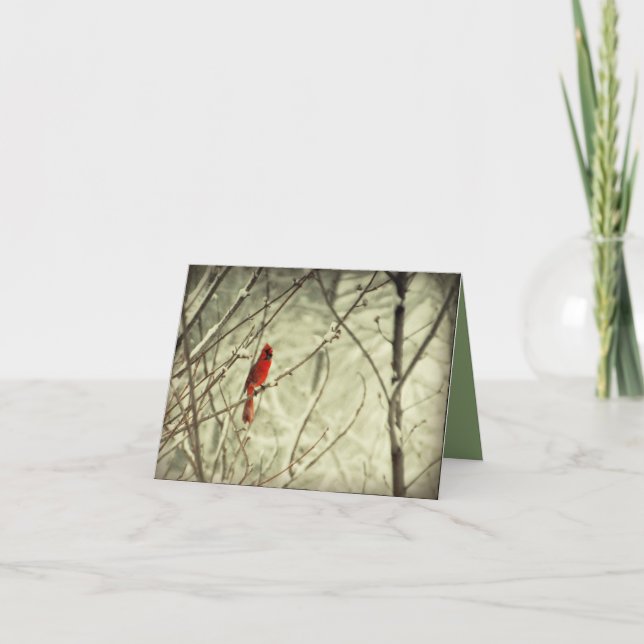 Beautiful Red Northern Cardinal Bird Card (Front)